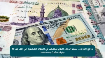 تراجع الدولار.. سعر الدولار اليوم ينخفض في البنوك المصرية إلى أقل من 48 جنيهًا الثلاثاء 9-9-2025